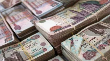 توجيهات رئاسية جديدة.. موعد وشروط التقديم لطلب معاش ربة المنزل لعام 2026